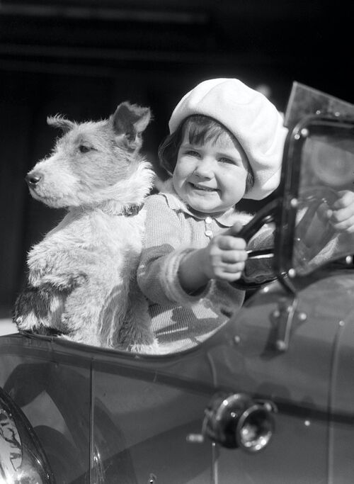 Blank greetings card - Little girl and dog in toy car