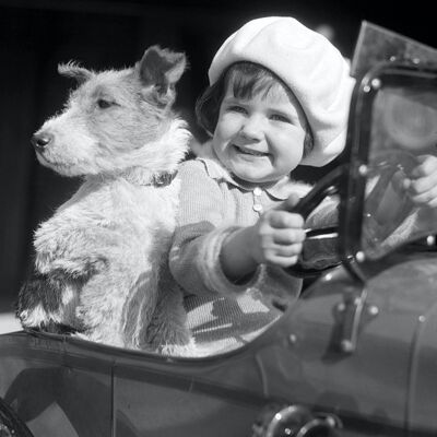 Leere Grußkarte - kleines Mädchen und Hund im Spielzeugauto