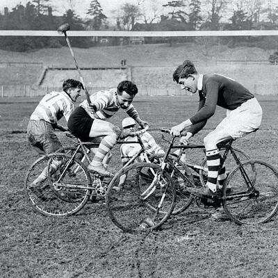 Biglietto d'auguri vuoto - Polo in bicicletta