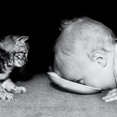 Tarjeta de saludos en blanco - Gatito y bebé compartiendo un poco de leche