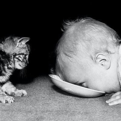 Blank greetings card - Kitten and baby sharing some milk