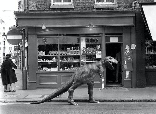 Blank greetings card - Dinosaur out shopping