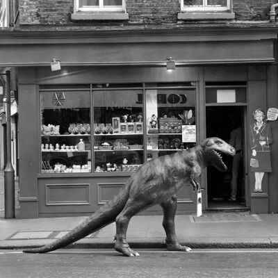 Blank greetings card - Dinosaur out shopping