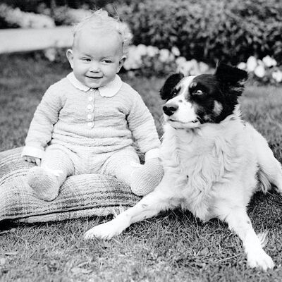 Blank greetings card - Baby and border collie