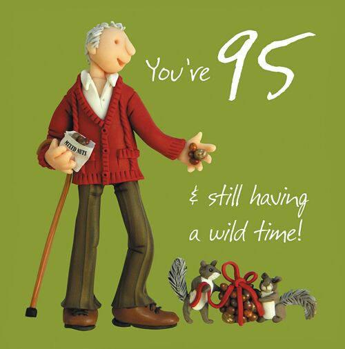 Age birthday card - 95 & having a wild time