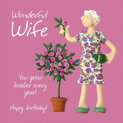 Relations birthday card - Wonderful wife