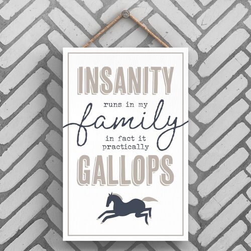 P3238 - Insanity Family Modern Grey Typography Home Humour Wooden Hanging Plaque