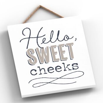 P3304 - Hello Sweet Cheeks Moderne Gris Typographie Home Humour Plaque à Suspendre en Bois 2
