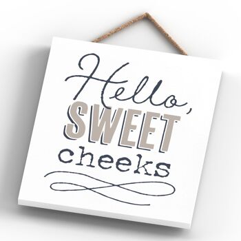 P3304 - Hello Sweet Cheeks Moderne Gris Typographie Home Humour Plaque à Suspendre en Bois 4