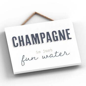 P3376 - Plaque à suspendre en bois Champagne Fun Water Modern Grey Typography Home Humour 2