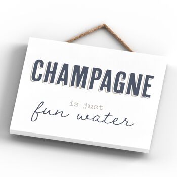 P3376 - Plaque à suspendre en bois Champagne Fun Water Modern Grey Typography Home Humour 3