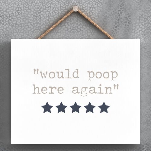 P3401 - Bathroom Review Modern Grey Typography Home Humour Wooden Hanging Plaque