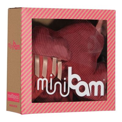 Weihnachtsgeschenk für Babys – NUAGE MUSICAL WILDE BIRTH BOX – 2 Stück – ADELE