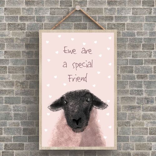 P4246 - Water Ewe Are A Special Friend Watercolour Animal Theme Wooden Hanging Plaque