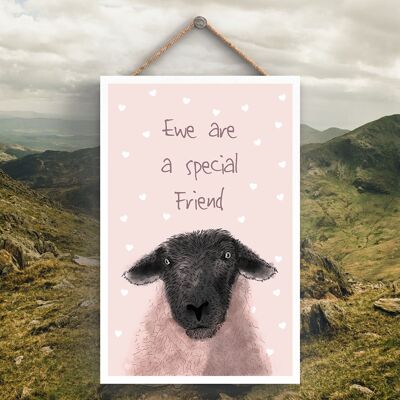 P4295 - Water Ewe Are A Special Friend Watercolour Animal Theme Wooden Hanging Plaque