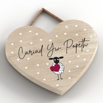 P4322 - Mouton Cariad Yw Popeth Love Is Everything Welsh Cute Animal Theme Plaque 2