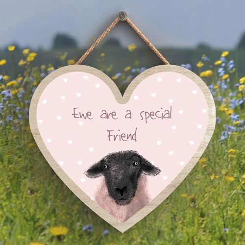 P4343 - Water Ewe Are A Special Friend Watercolour Animal Theme Wooden Hanging Plaque