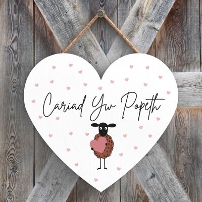 P4369 - Oveja Cariad Yw Popeth Love Is Everything Welsh Cute Animal Theme Placa