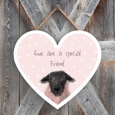 P4391 - Water Ewe Are A Special Friend Watercolour Animal Theme Wooden Hanging Plaque