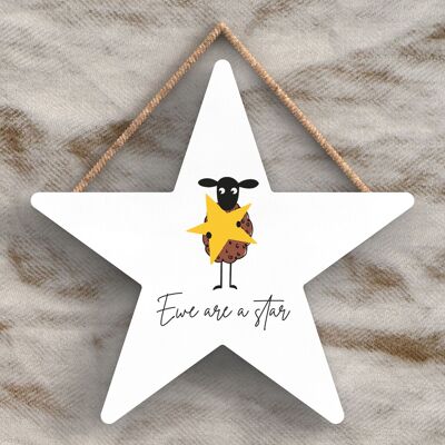 P4463 - Oveja Ewe Are A Star Lindo Tema Animal Placa Colgante de Madera