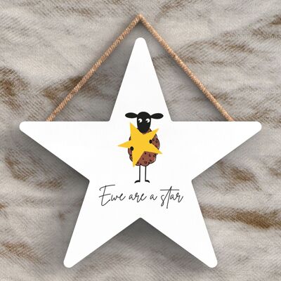 P4463 - Sheep Ewe Are A Star Cute Animal Theme Wooden Hanging Plaque