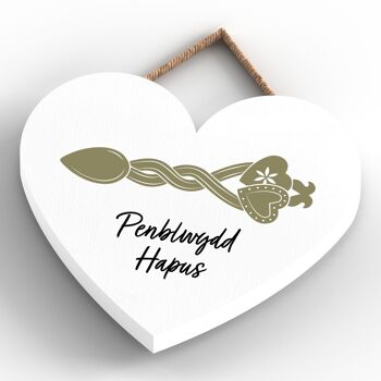 P4646 - Penblwgdd Hapus Happy Anniversary Welsh Love Spoon Plaque à suspendre en bois avec cœur 4