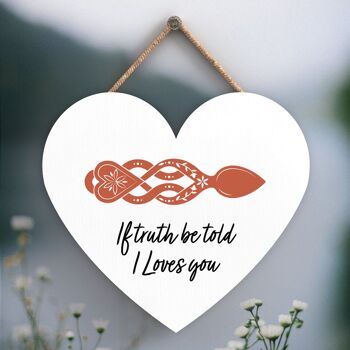 P4648 - If Truth Be Told I Loves You Welsh Love Spoon Plaque à suspendre en bois avec cœur 1