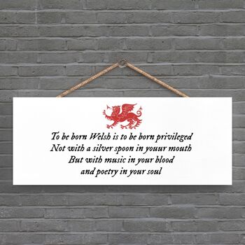 P4660 - To Be Born Welsh Dragon Sign Plaque décorative en bois à suspendre 1