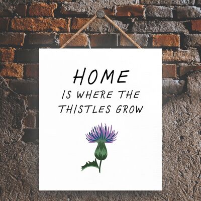 P4850 – Holzschild zum Aufhängen, „House Is My Where Thistles Grow on Scotland“.