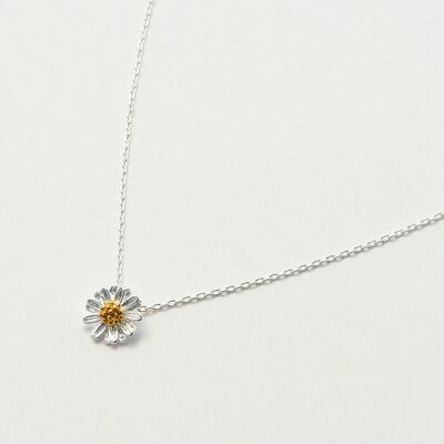 Collier de fleurs sauvages