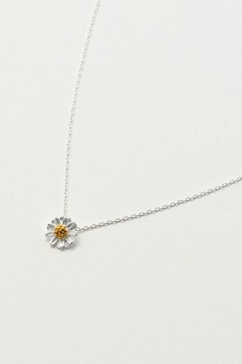 Collier de fleurs sauvages 1