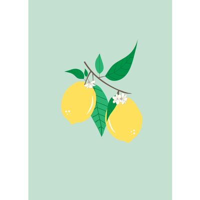 Lemon Leaf Postcard