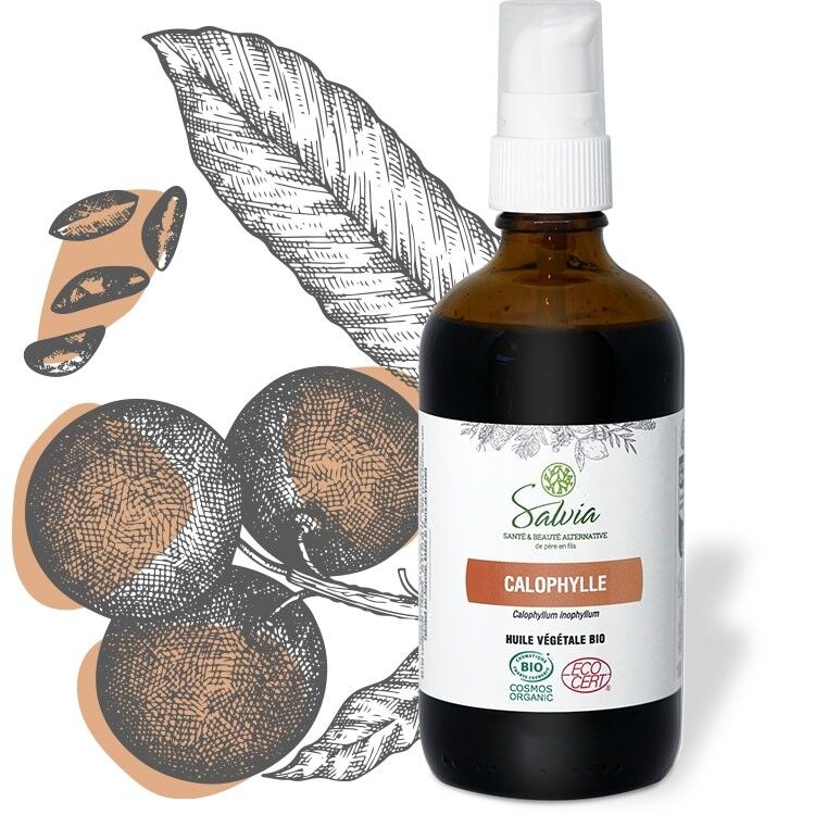 Calophylle - Olio vegetale biologico