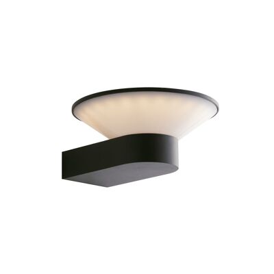 Wizard 10W LED wall light in anthracite aluminum, dimmable RGB + CCT, with smart WIFI function