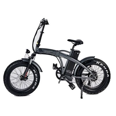 Bicicleta Eléctrica Pedelec gris 250W, 36V con logo blanco-TAM-BIKE-GRB