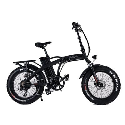 Electric Bicycle Pedelec 250W, 36V black with white logo-TAM-BIKE-NEB