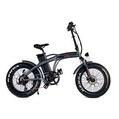 Gray Pedelec Electric Bicycle 500W, 48V with red logo-TAM-BIKE-GRR
