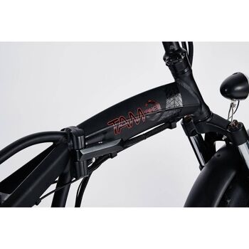 Vélo électrique Pedelec 500W, 48V noir avec logo rouge-TAM-BIKE-NER 3