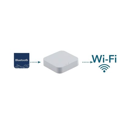 Connection interface for Bluetooth devices with WI-FI-SMART-GATEWAY-BT network