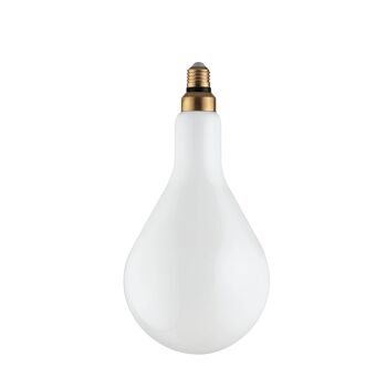 Ampoule décorative LED LUXA 8W, douille E27, lumière naturelle 32x16 cm.-I-LUXA-B-E27-GLS160 1