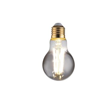 Ampoule fumée décorative LED LUXA 8W, douille E27, lumière naturelle 10,5x6 cm.-I-LUXA-S-E27-A60 1