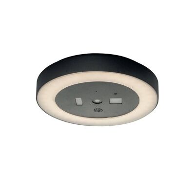 30W Zoom LED ceiling light with video camera, WIFI and speaker-LED-ZOOM-INT