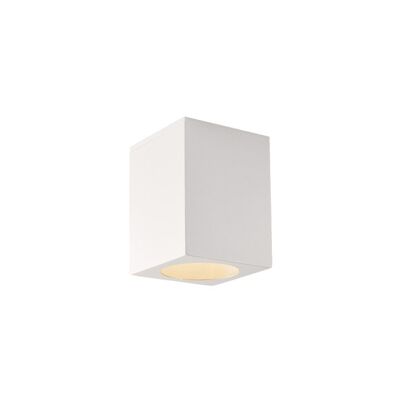 Citizen outdoor ceiling light available in white, black and bronze available in two versions(1XE27)-I-CITIZEN-Q1-BCO