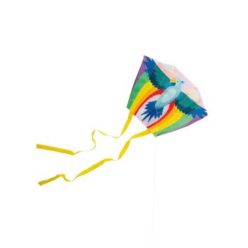 Mini Kite Parrodise 3