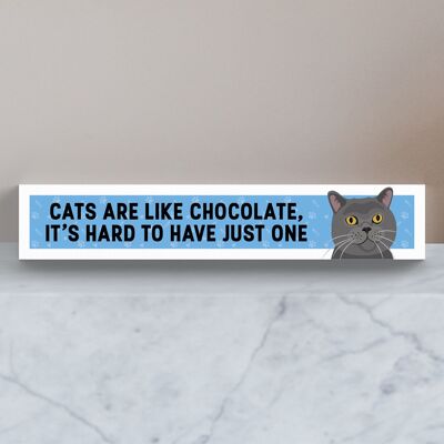 P6121 - I gatti grigi sono come il cioccolato Difficile avere un blocco Momento in legno di opere d'arte di Katie Pearson