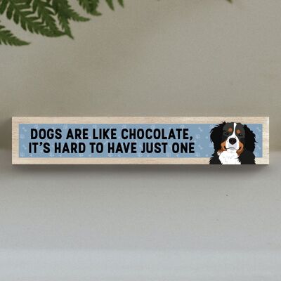 P6197 - Bernese Mountain Dog Like Chocolate Hard To Have One Katie Pearson Artworks Wooden Momento Block