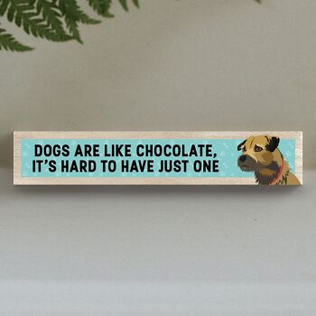 P6203 - Border Terrier Like Chocolate Hard To Have One Katie Pearson Artworks Bloc Momento en bois 1