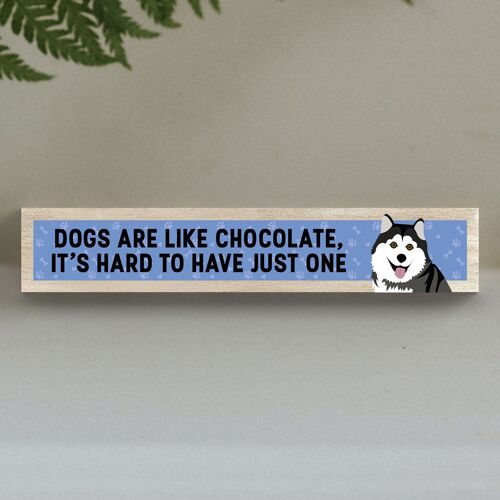 P6254 - Husky Like Chocolate Hard To Have One Katie Pearson Artworks Wooden Momento Block