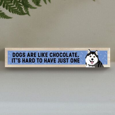 P6254 - Husky Like Chocolate Hard To Have One Katie Pearson Artworks Wooden Momento Block