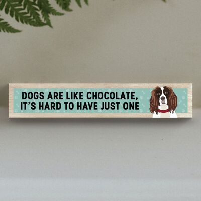 P6275 - Spaniel Like Chocolate Hard To Have One Katie Pearson Artworks Wooden Momento Block